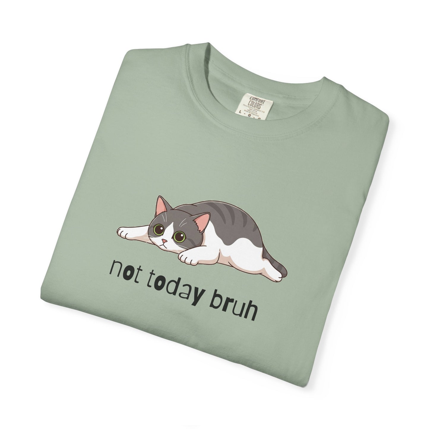 Short hair bi-color gray cat Not Today Bruh T-Shirt