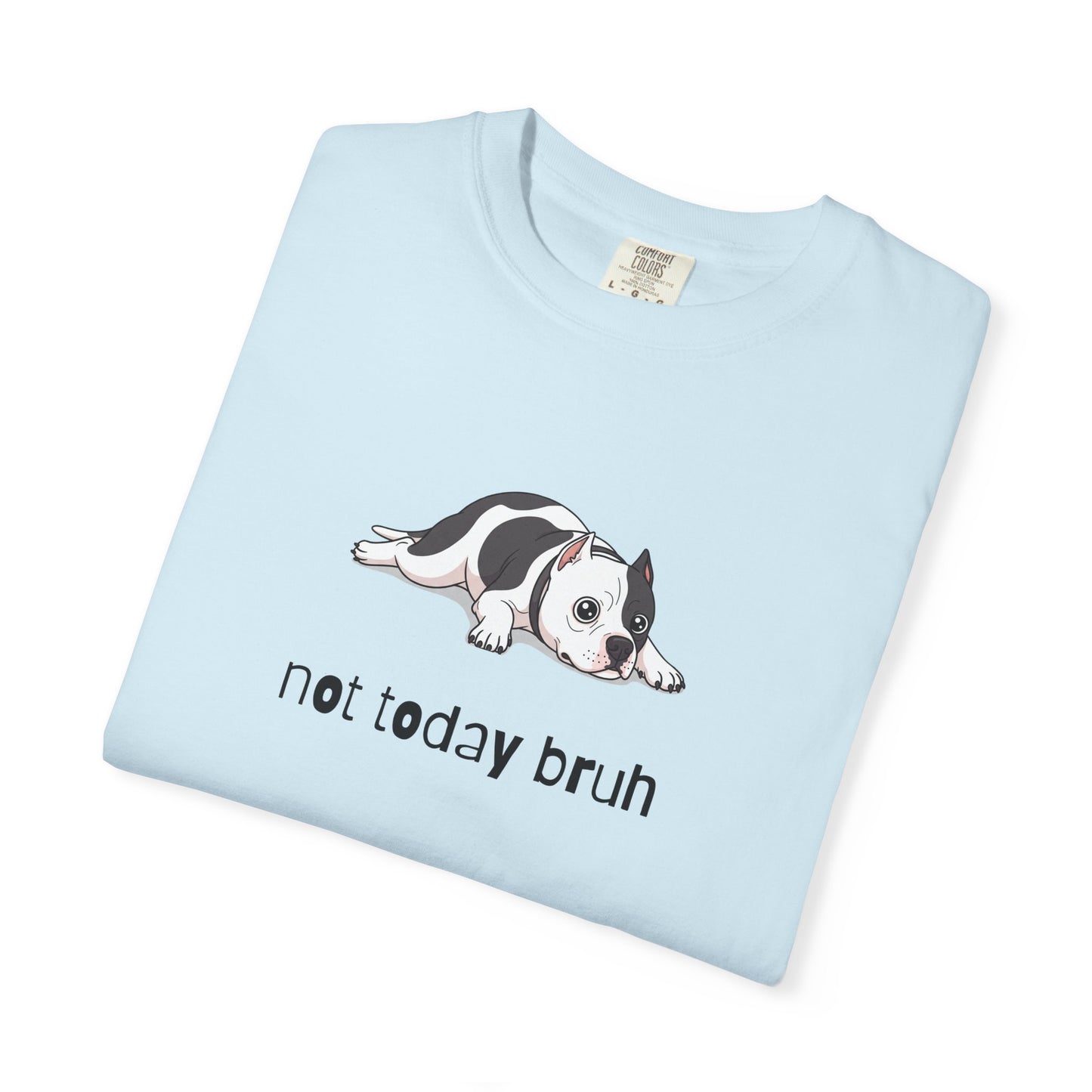 Pitbull Not Today Bruh T-Shirt