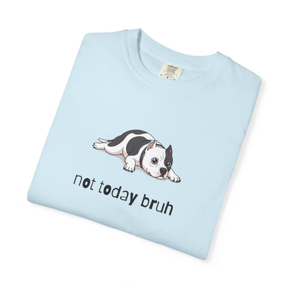Pitbull Not Today Bruh T-Shirt