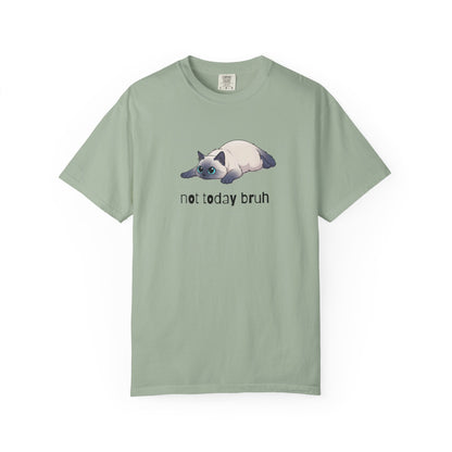 Ragdoll Not Today Bruh T-Shirt