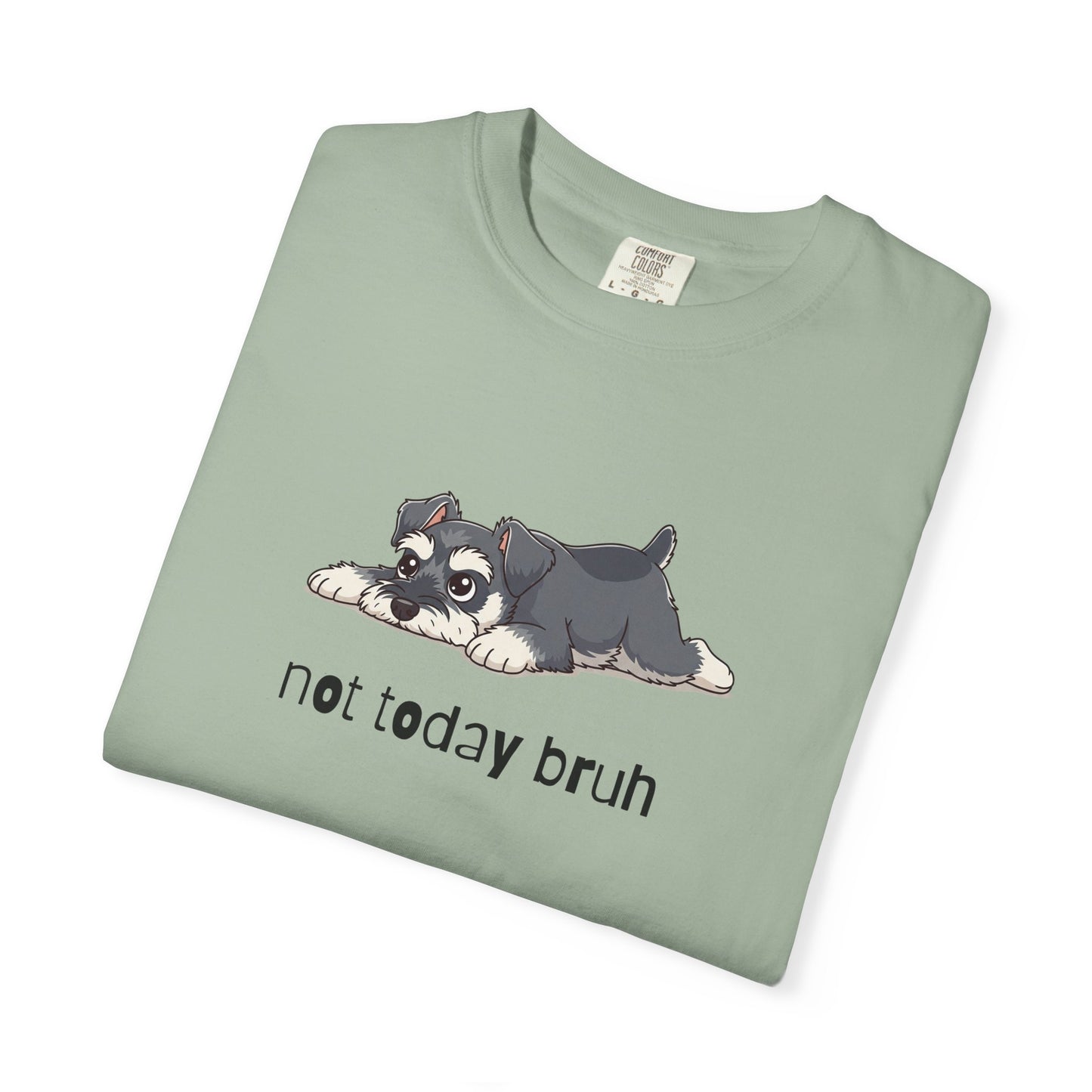 Schnauzer Not Today Bruh T-Shirt