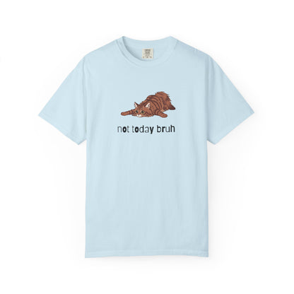 Long hair brown tabby cat Not Today Bruh T-Shirt