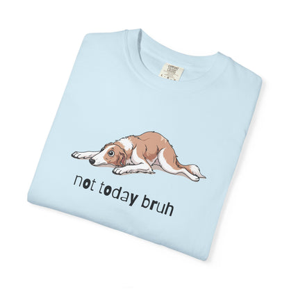 Borzoi Not Today Bruh T-Shirt