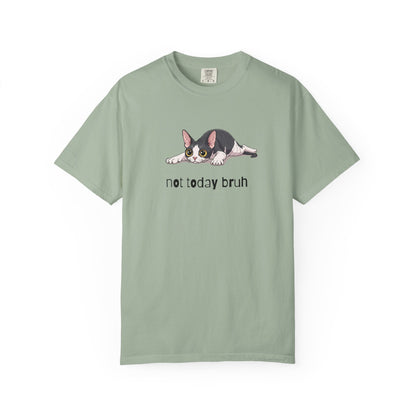 Devon Rex Not Today Bruh T-Shirt