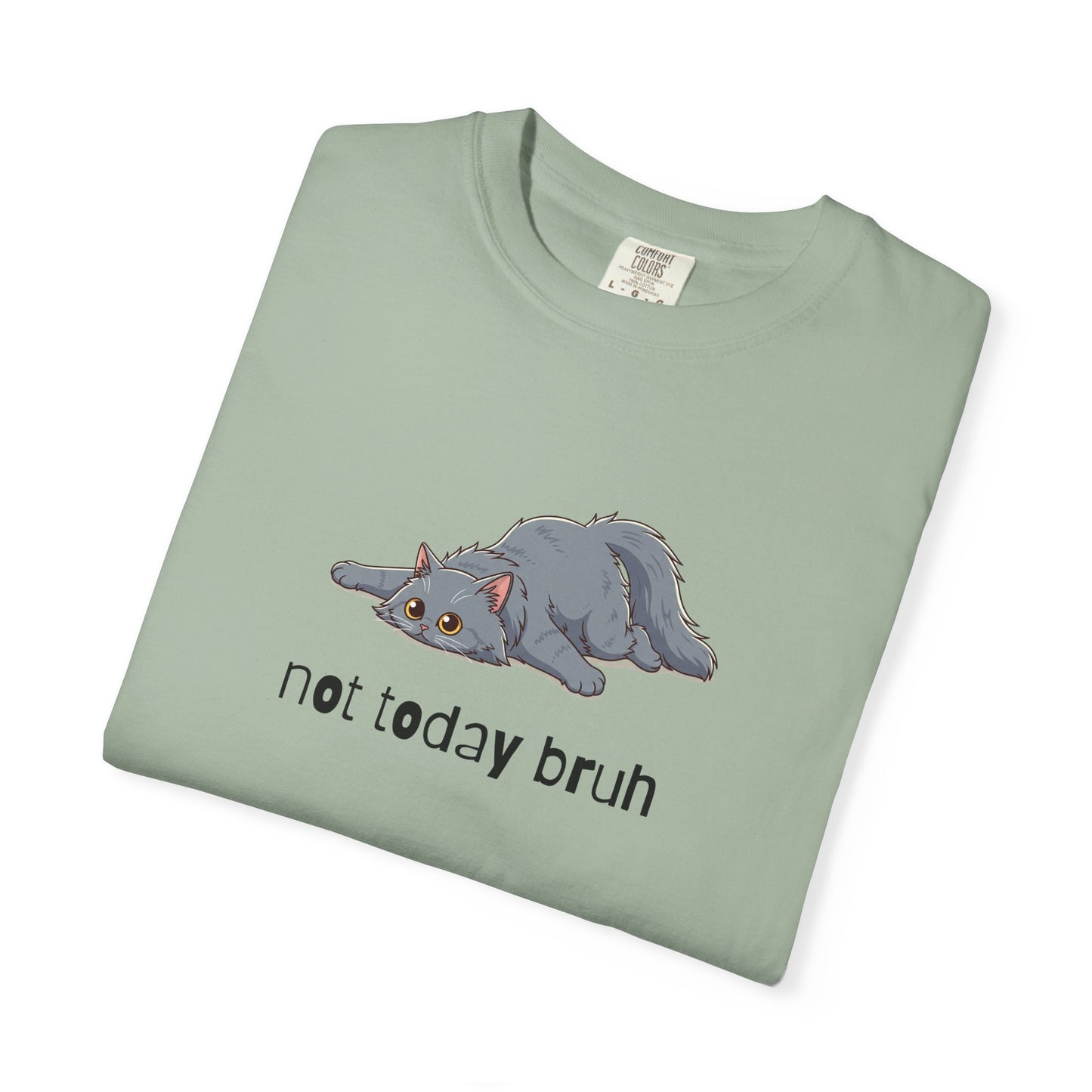 Long hair gray cat Not Today Bruh T-Shirt