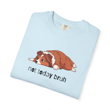 Sheltie Not Today Bruh T-Shirt