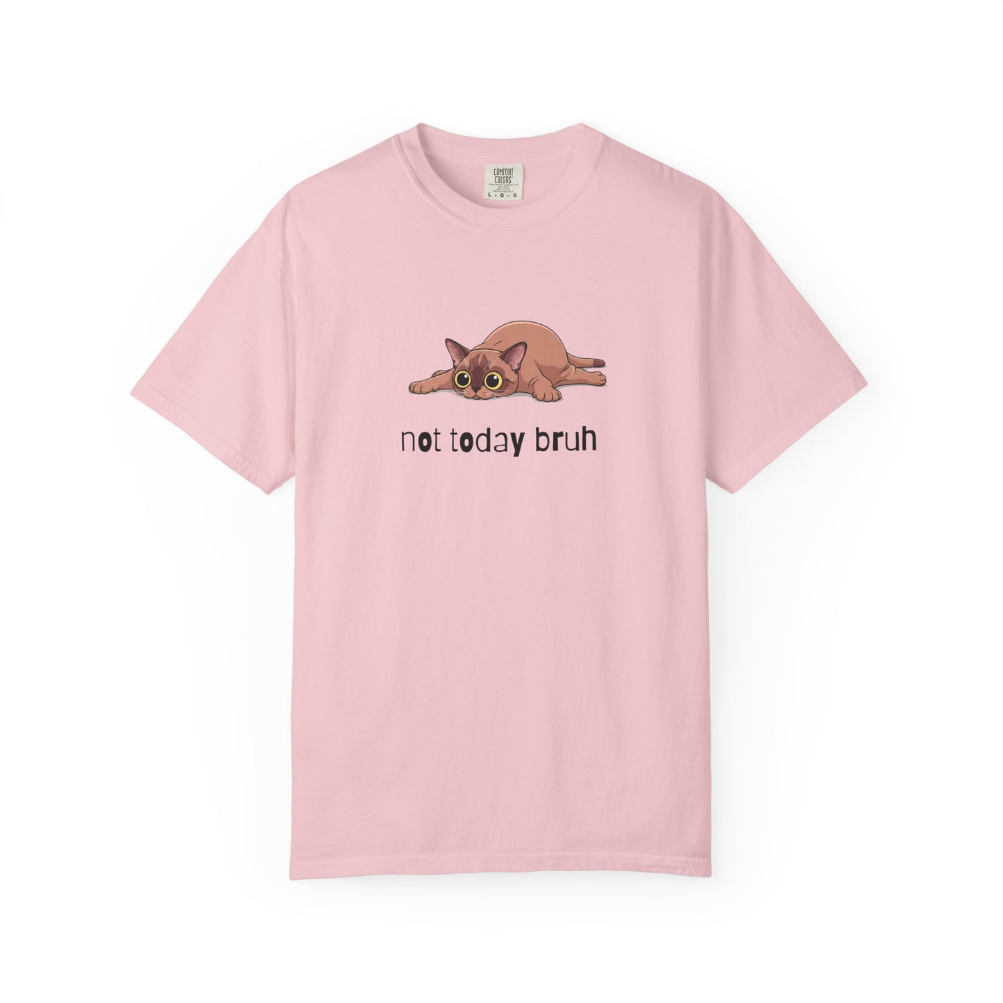 Short hair brown cat Not Today Bruh T-Shirt