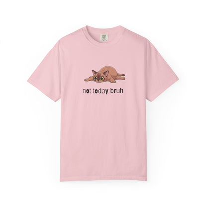 Short hair brown cat Not Today Bruh T-Shirt