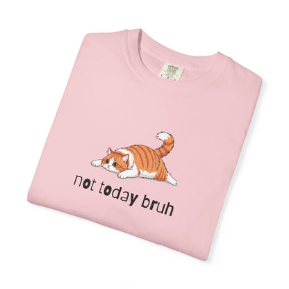 Long hair bi-color orange cat Not Today Bruh T-Shirt
