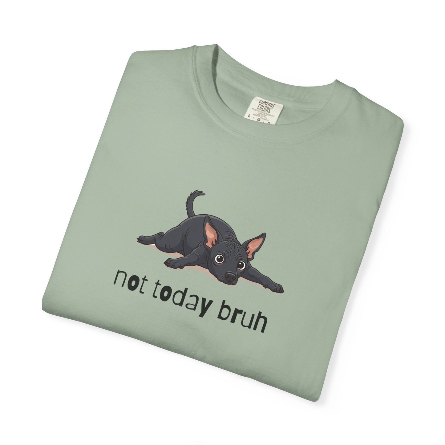 Hairless Dog Not Today Bruh T-Shirt
