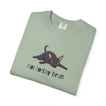 Hairless Dog Not Today Bruh T-Shirt