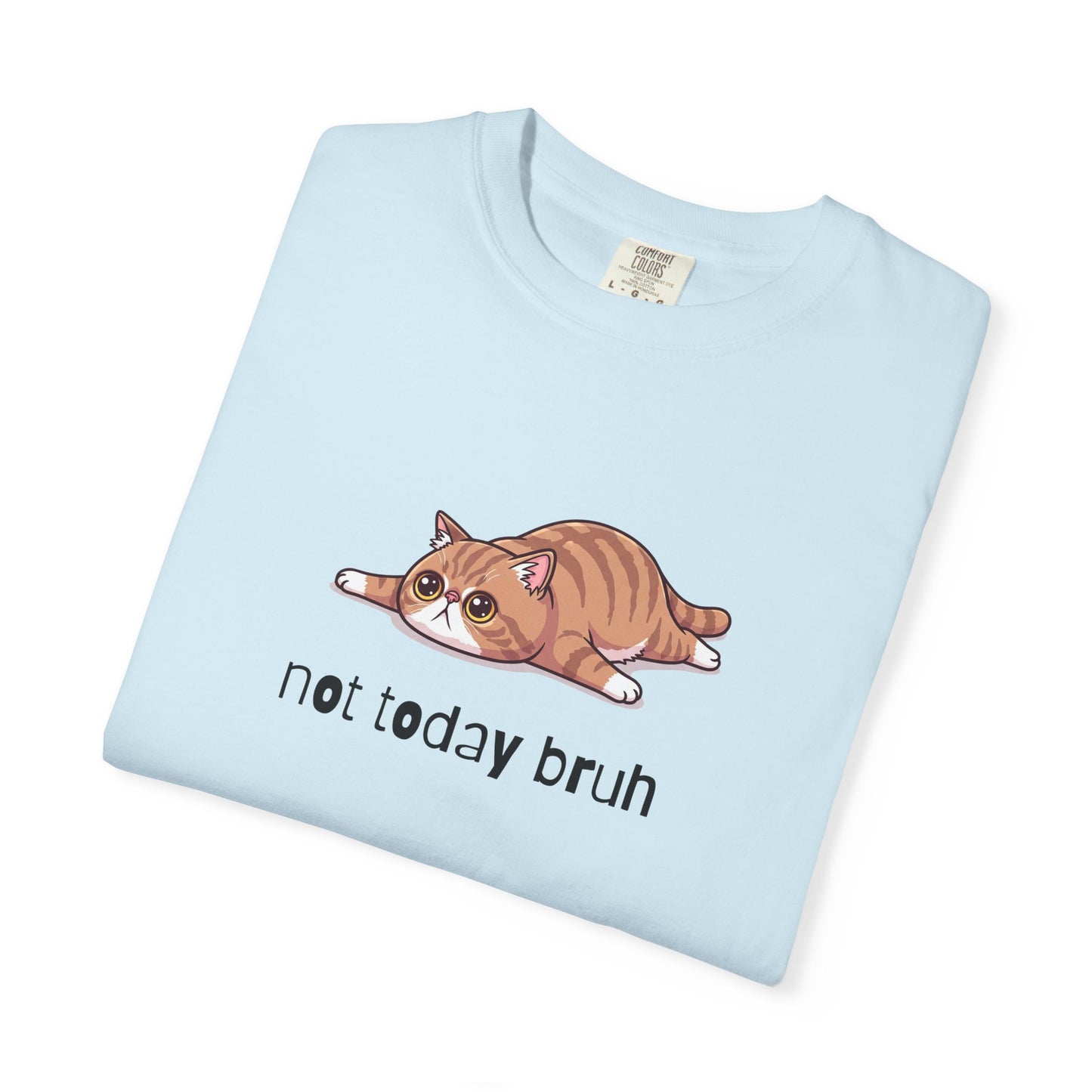 Exotic Shorthair Not Today Bruh T-Shirt