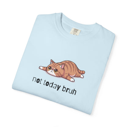 Exotic Shorthair Not Today Bruh T-Shirt