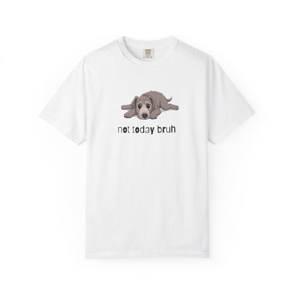 Irish Wolfhound Not Today Bruh T-Shirt