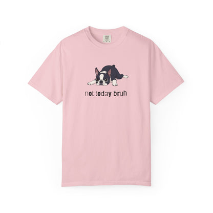 Boston Terrier Not Today Bruh T-Shirt