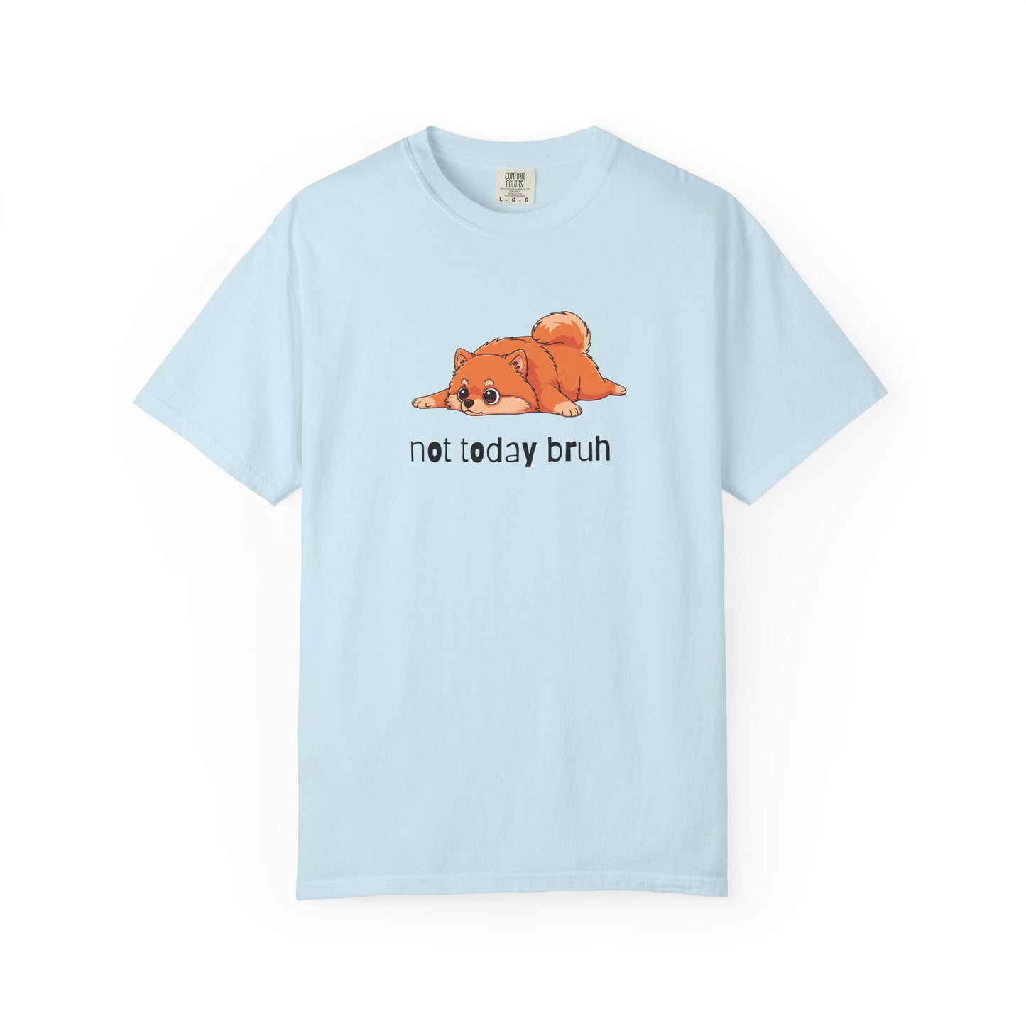 Pomeranian Not Today Bruh T-Shirt