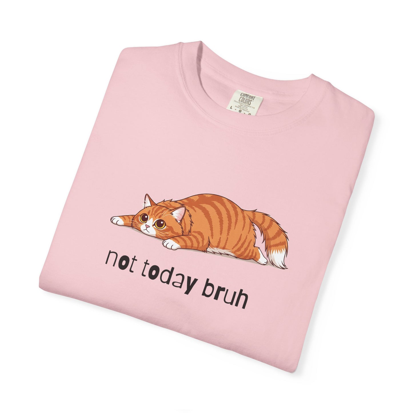 Long hair orange cat Not Today Bruh T-Shirt