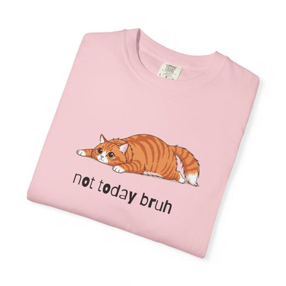 Long hair orange cat Not Today Bruh T-Shirt