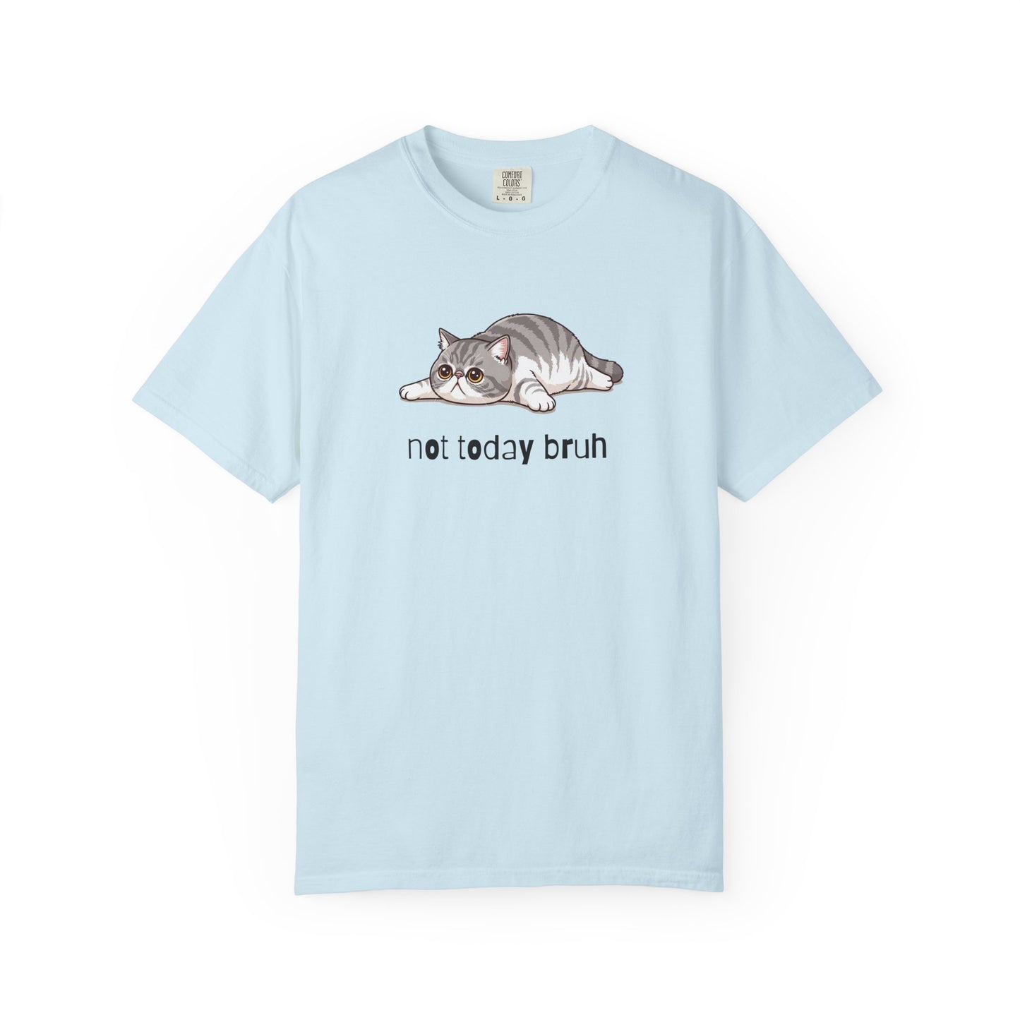 Exotic Shorthair Not Today Bruh T-Shirt