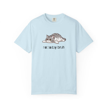 Exotic Shorthair Not Today Bruh T-Shirt