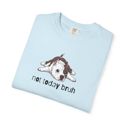 Staffy Not Today Bruh T-Shirt
