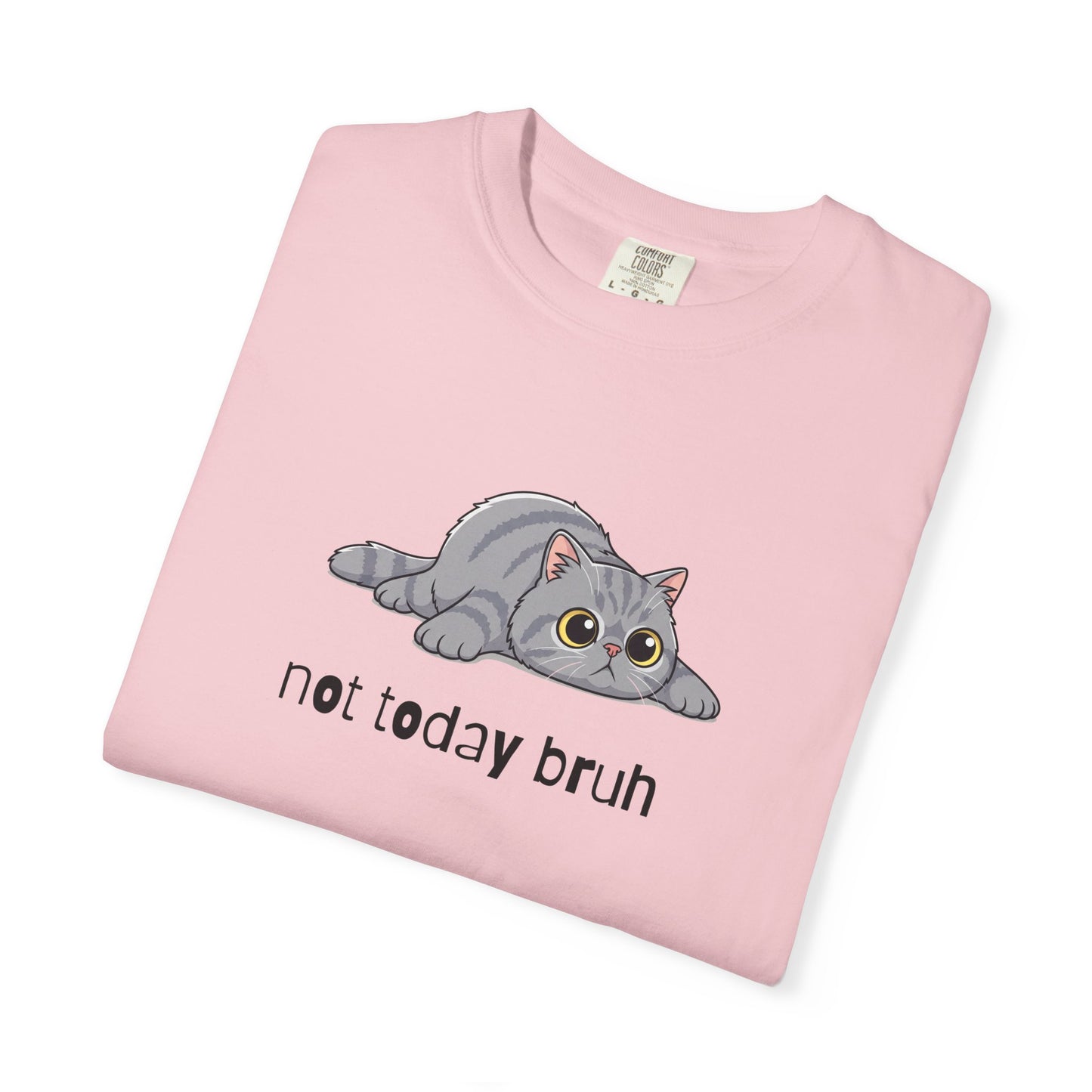 Persian Not Today Bruh T-Shirt