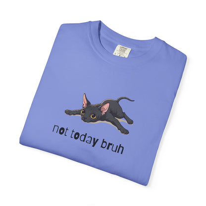 Sphynx Not Today Bruh T-Shirt