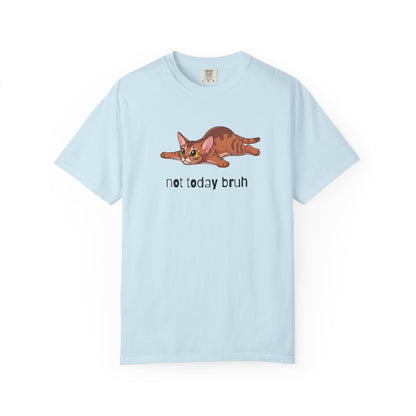 Abyssinian Not Today Bruh T-Shirt