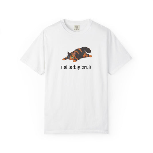 Long hair chimera cat Not Today Bruh T-Shirt