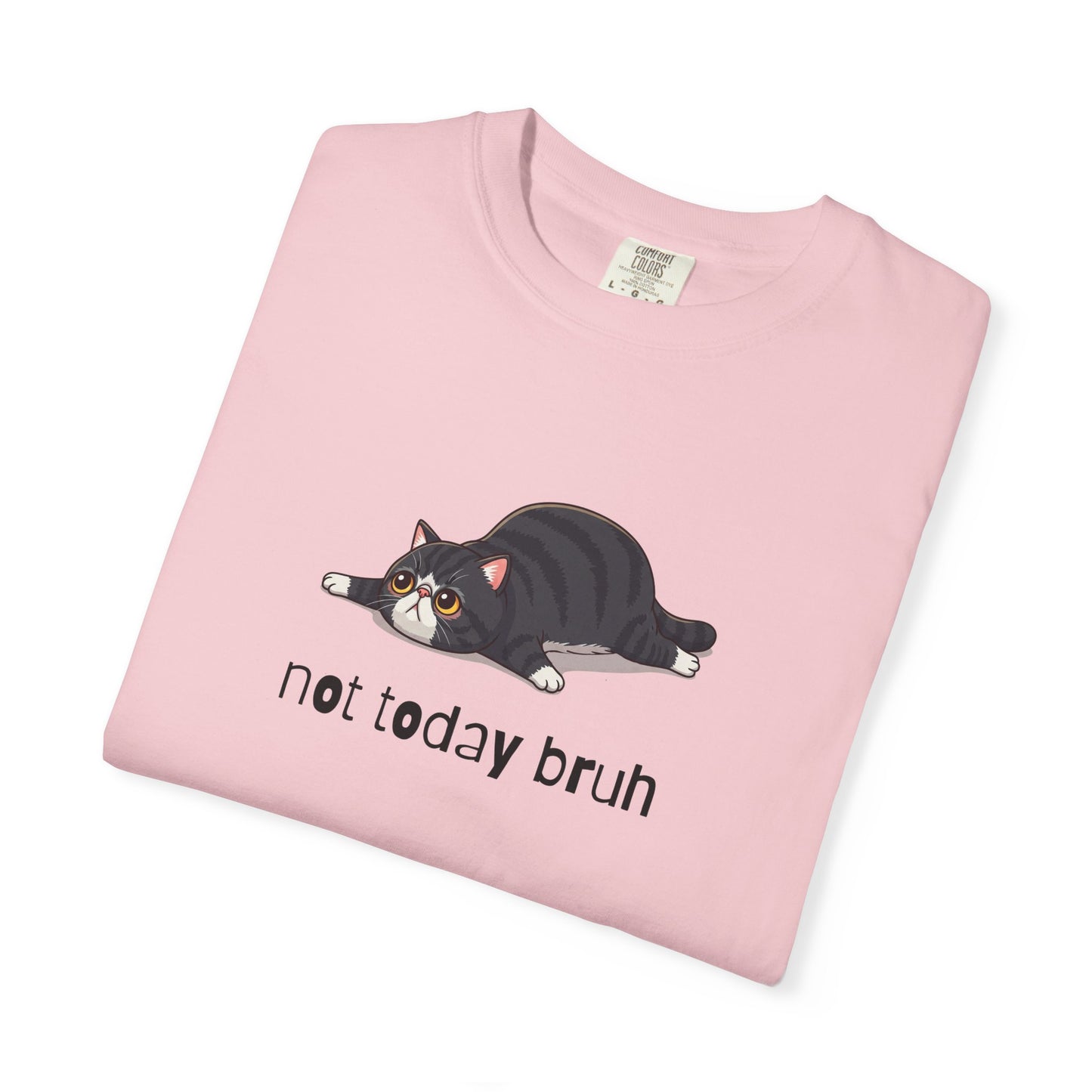Exotic Shorthair Not Today Bruh T-Shirt