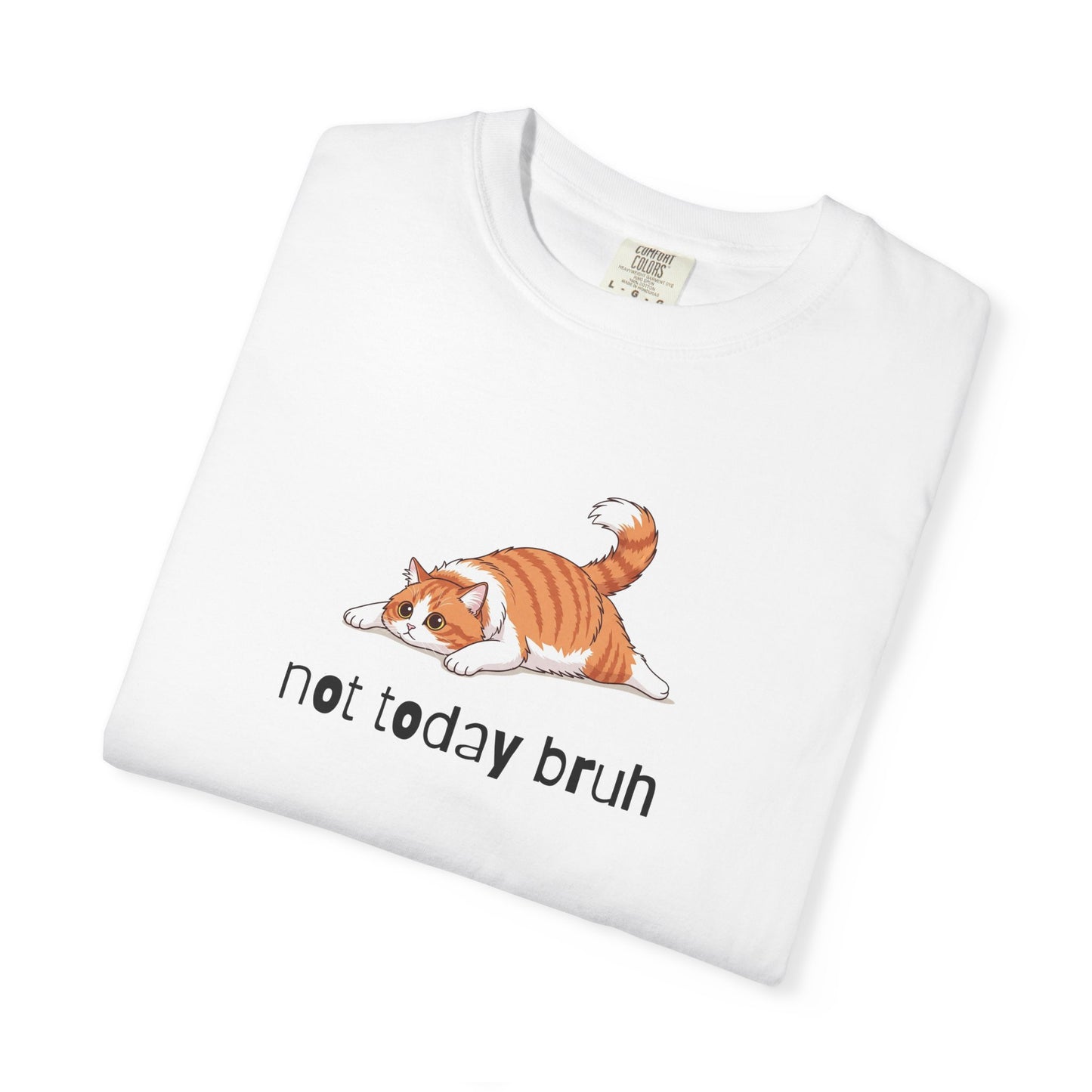 Long hair bi-color orange cat Not Today Bruh T-Shirt