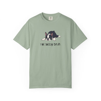 Boston Terrier Not Today Bruh T-Shirt