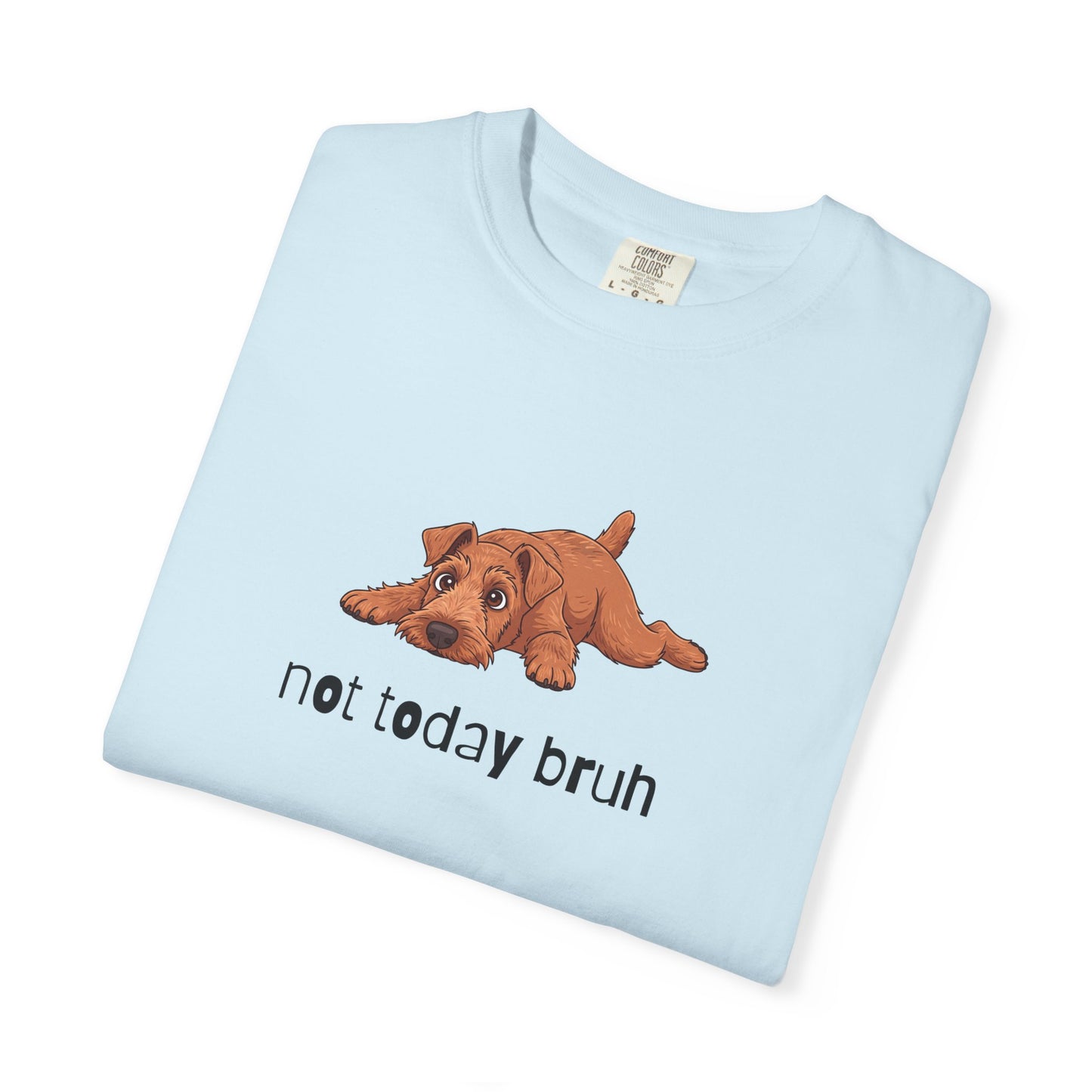 Irish Terrier Not Today Bruh T-Shirt
