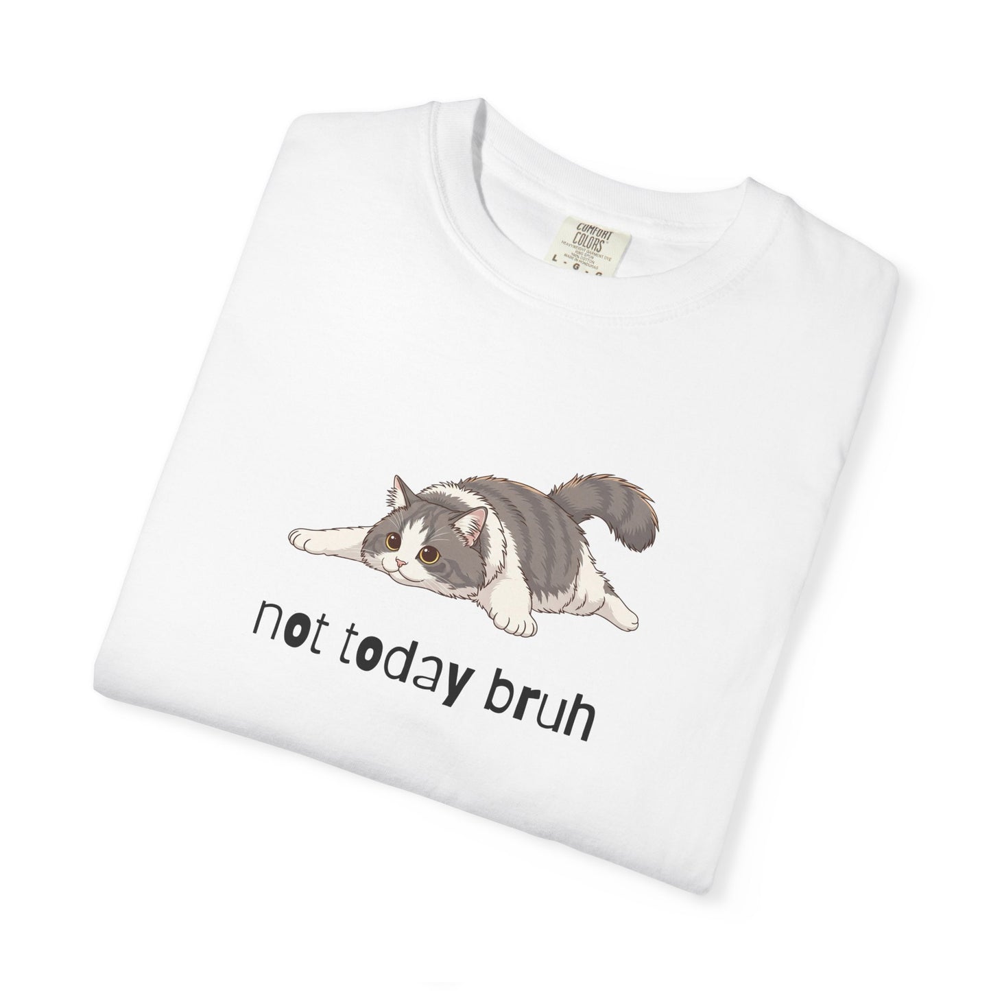 Long hair bi-color gray cat Not Today Bruh T-Shirt