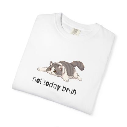 Long hair bi-color gray cat Not Today Bruh T-Shirt
