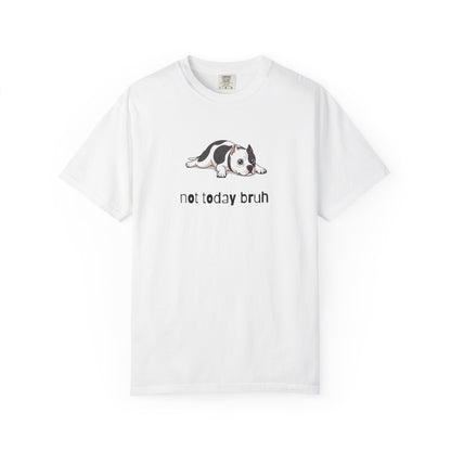 Pitbull Not Today Bruh T-Shirt
