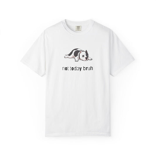 Pitbull Not Today Bruh T-Shirt