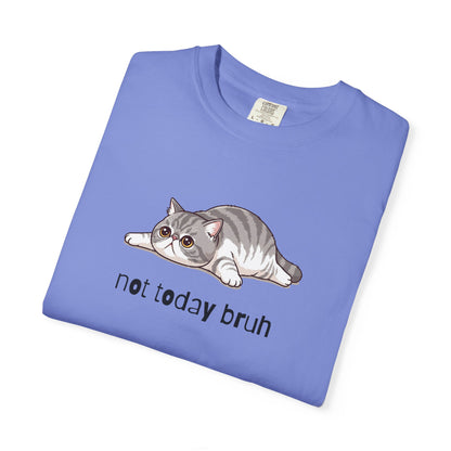 Exotic Shorthair Not Today Bruh T-Shirt