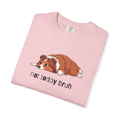 Sheltie Not Today Bruh T-Shirt