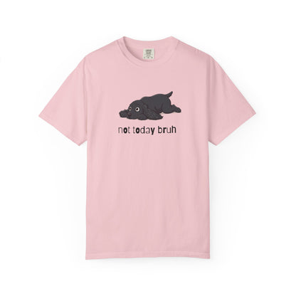 Spaniel Not Today Bruh T-Shirt