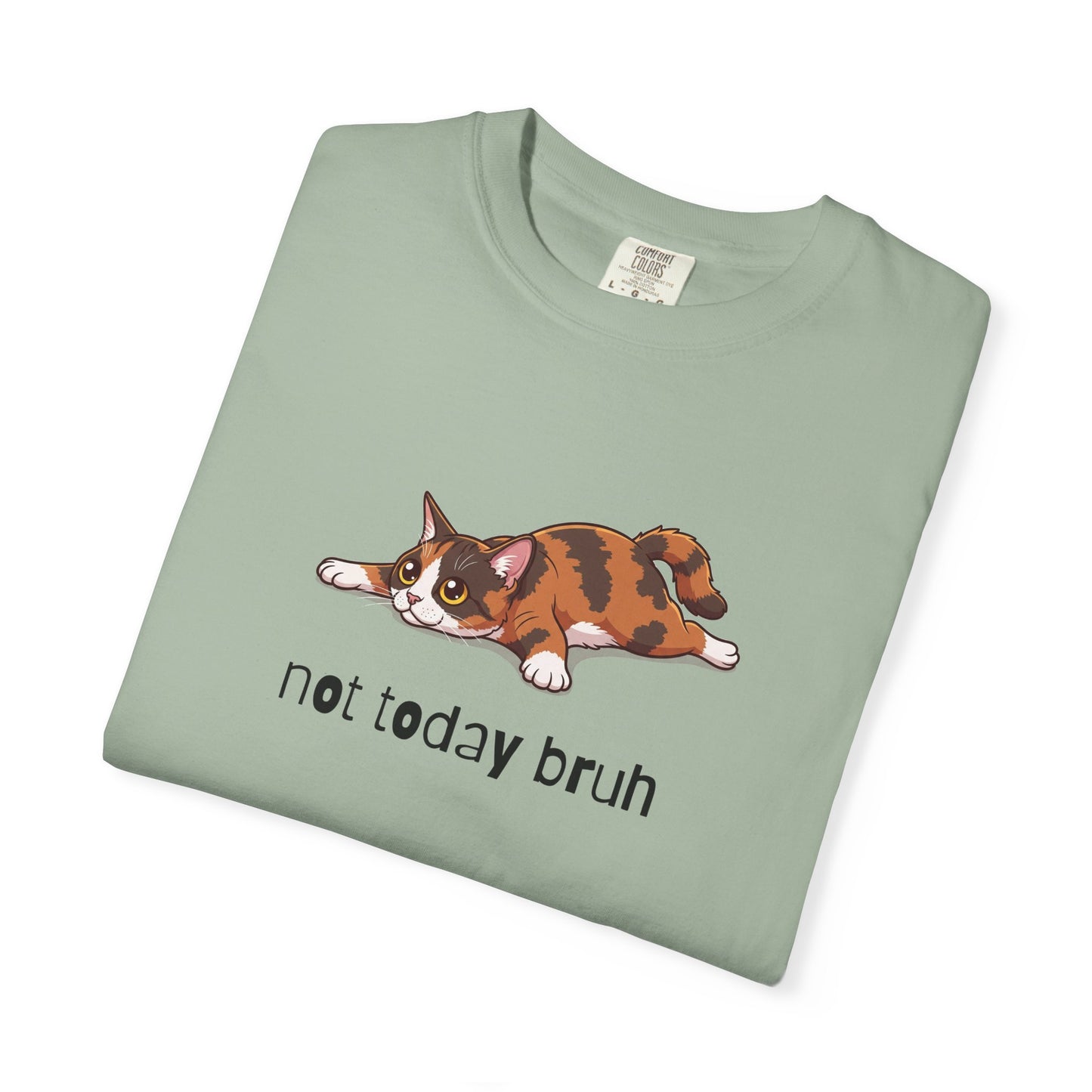 Short hair tortoiseshell cat Not Today Bruh T-Shirt