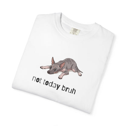 Hairless Dog Not Today Bruh T-Shirt