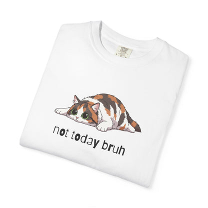 Long hair calico cat Not Today Bruh T-Shirt