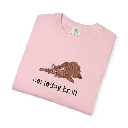 Long hair brown tabby cat Not Today Bruh T-Shirt