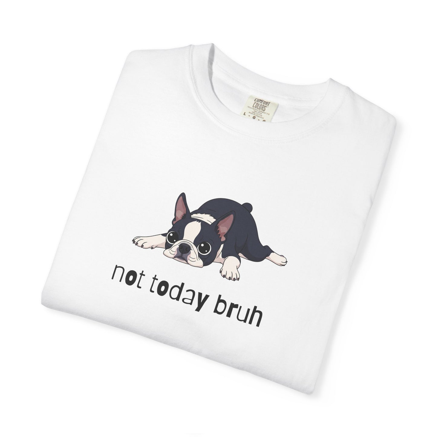 Boston Terrier Not Today Bruh T-Shirt