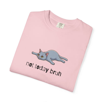 Short hair gray cat Not Today Bruh T-Shirt