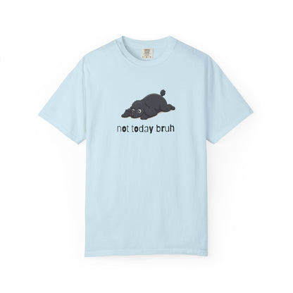 Poodle Not Today Bruh T-Shirt