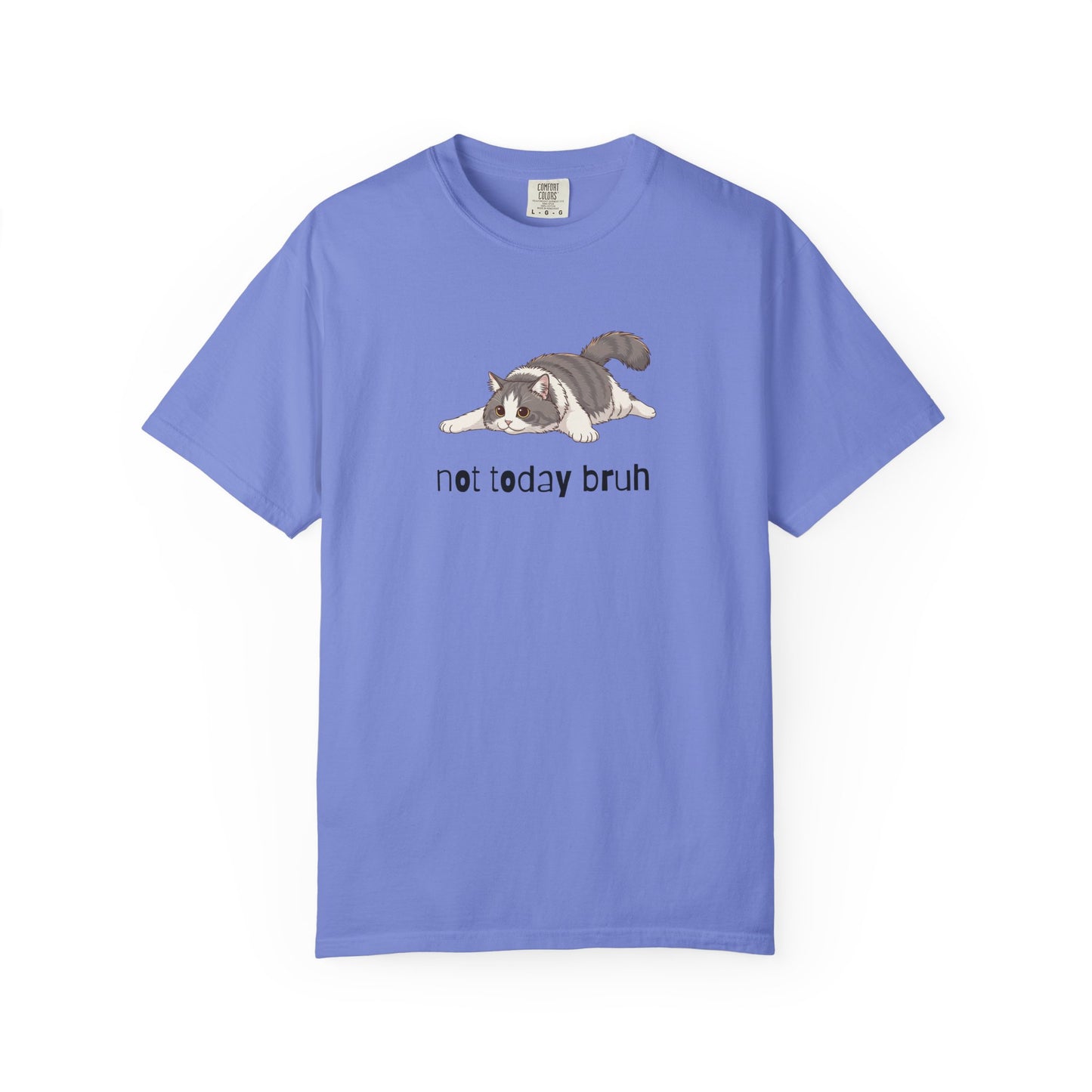 Long hair bi-color gray cat Not Today Bruh T-Shirt