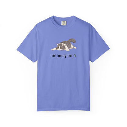 Long hair bi-color gray cat Not Today Bruh T-Shirt