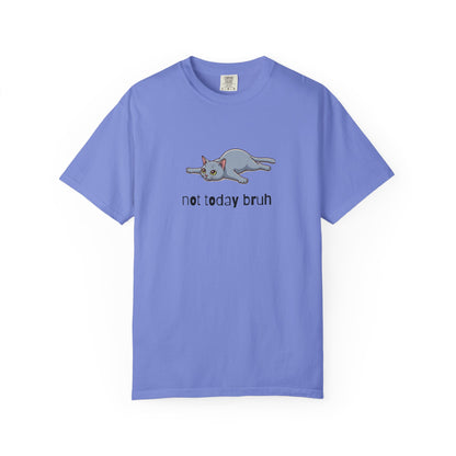 Short hair gray cat Not Today Bruh T-Shirt
